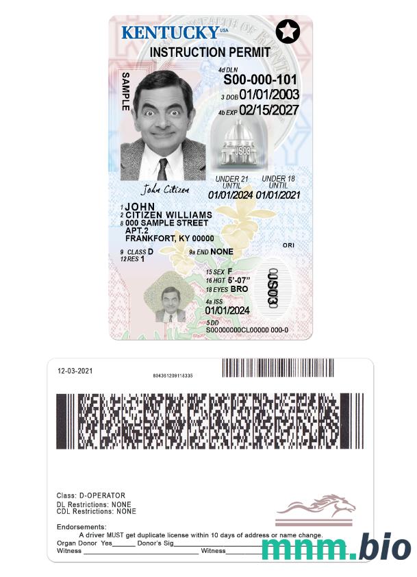 Prawo jazdy USA Kentucky poniżej 21 roku życia w formacie PSD